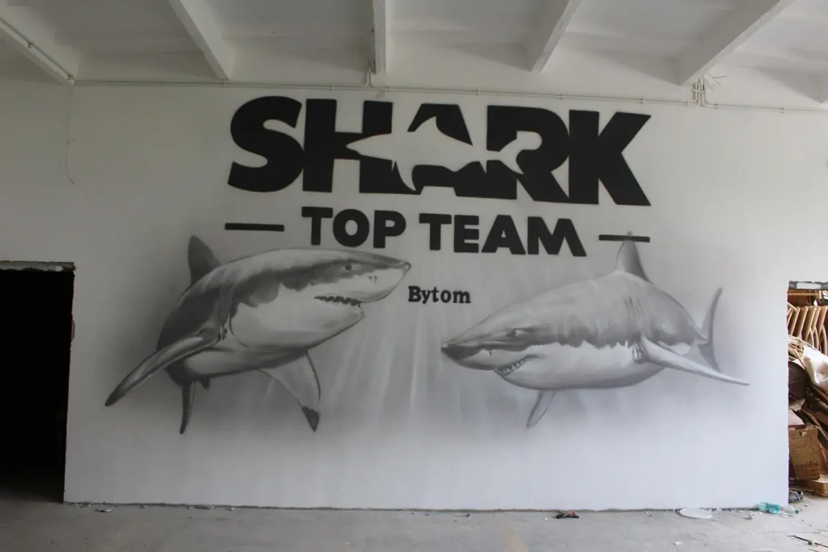shark top team
